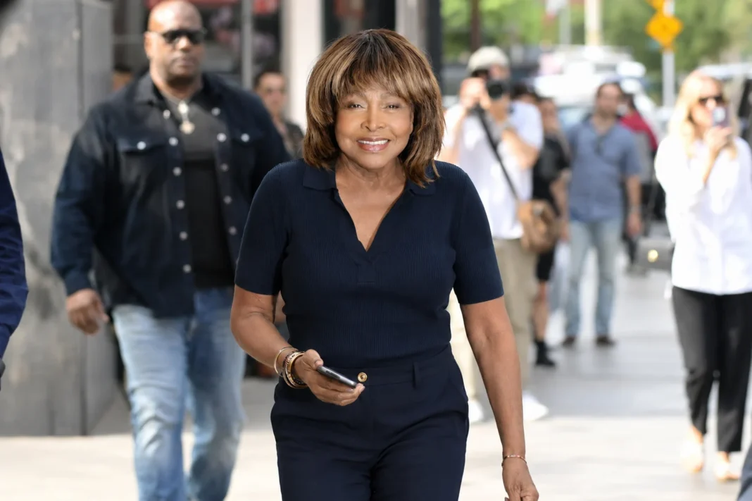 Tina Turner Net Worth: How the Queen of Rock Built a $250 Million Fortune